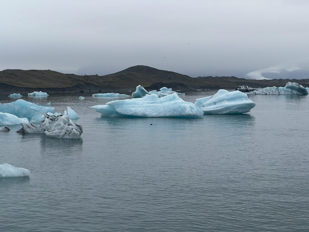 Icebergs floating at Jökulsárlón and if you look closely enough, a seal can be seen swimming in front of the centre iceberg.