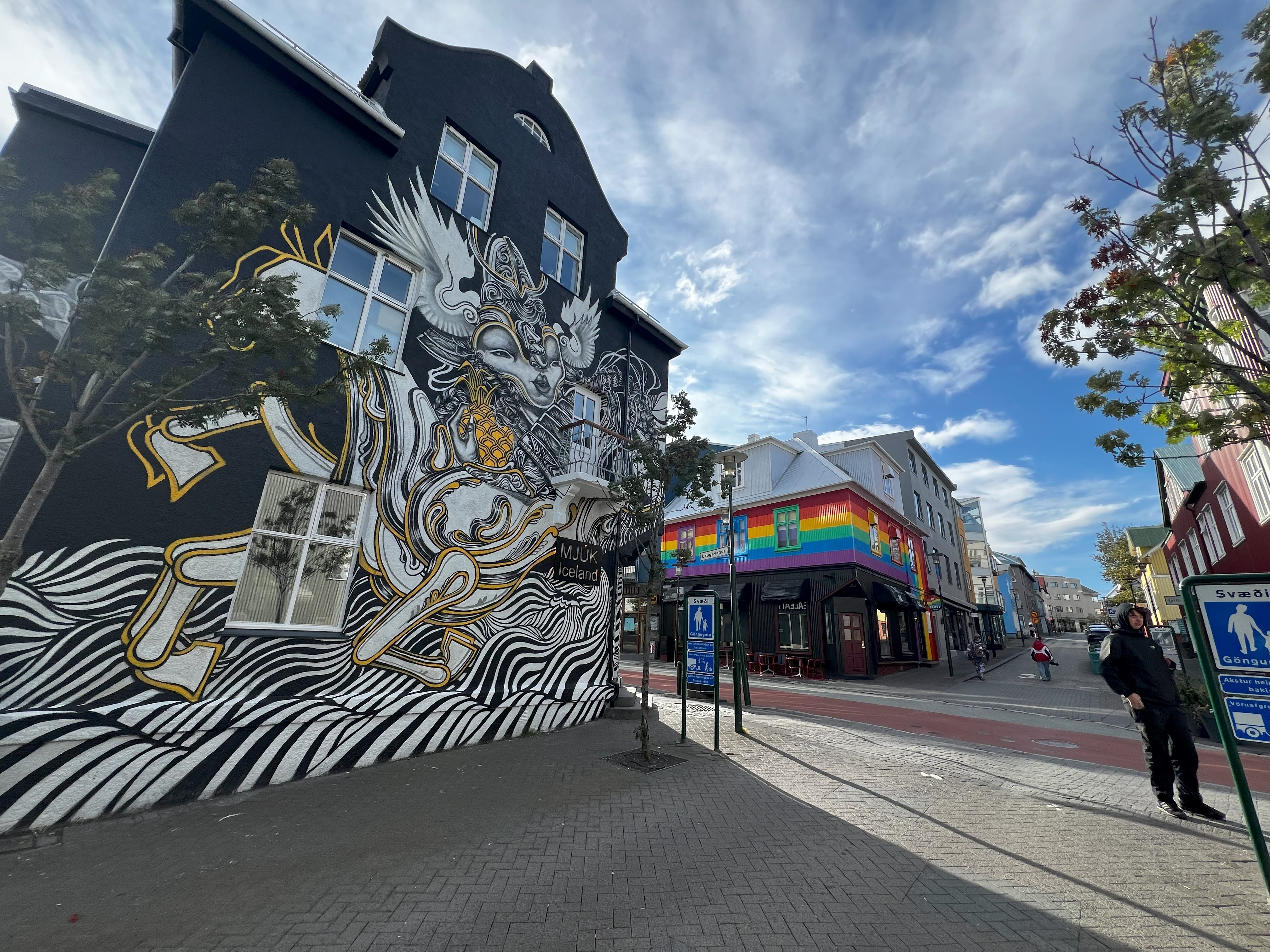 A mural and a rainbow bar on one of Reykjavík's streets.