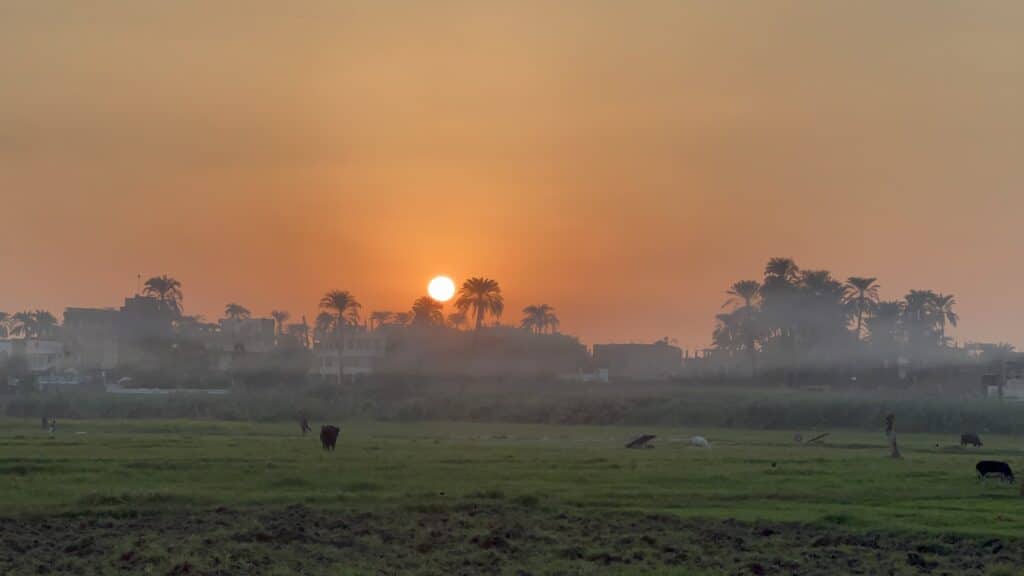 The sunsetting from the perspective of a boat on the River Nile, Egypt.