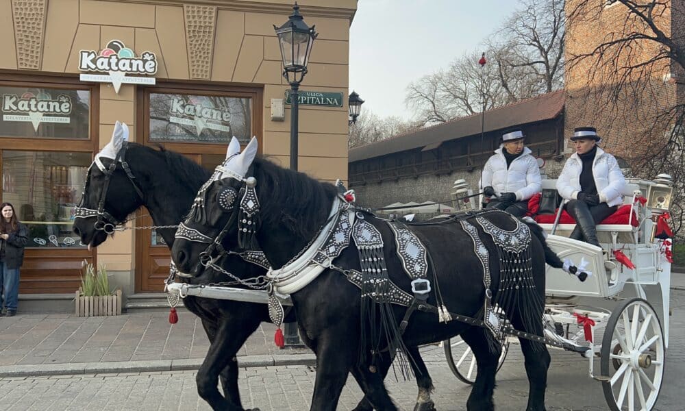 A horse drawn carriage in the streets of Krakow.