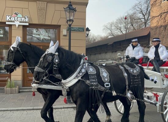 A horse drawn carriage in the streets of Krakow.