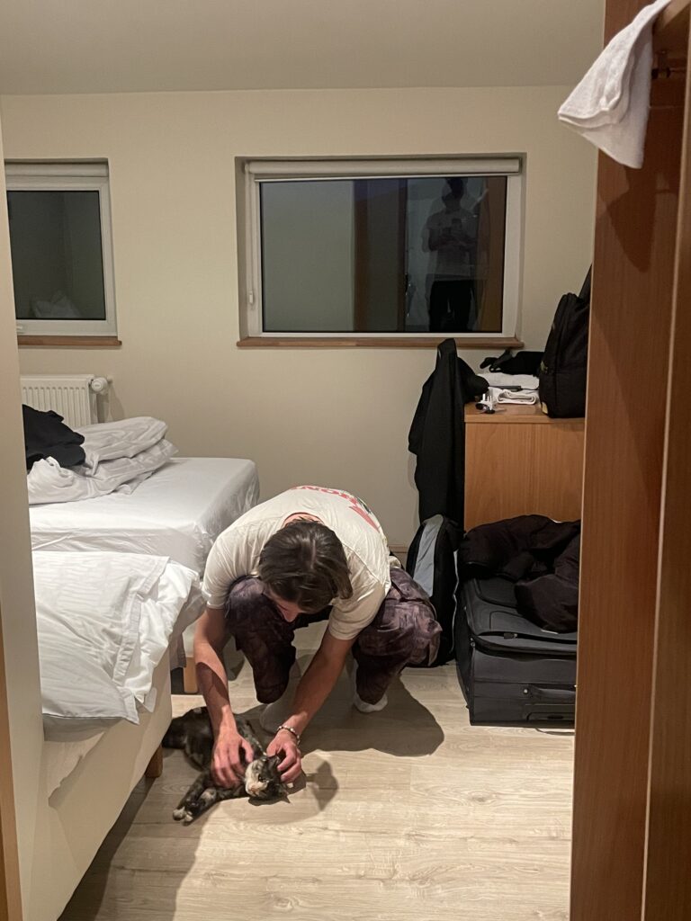 The author stroking a pregnant cat in a accomodation in Iceland.