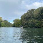 A landscape view of a river tour