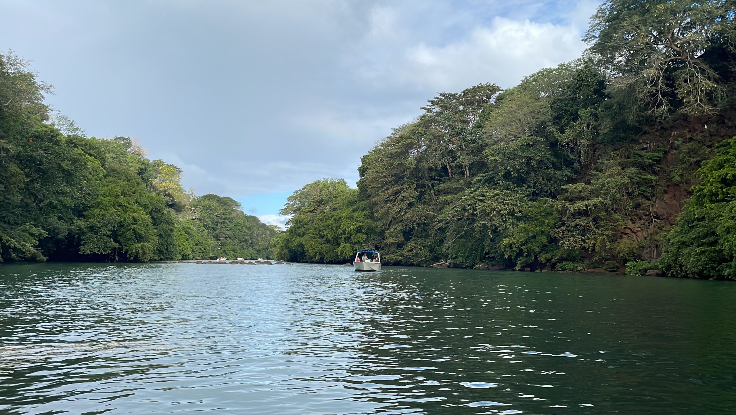 A landscape view of a river tour