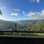 A small monkey eating a banana in the foreground of a great valley in the background.